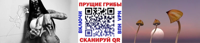 Галлюциногенные грибы мухоморы  Купить где  Феодосия 